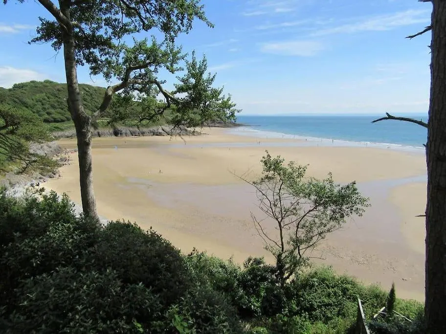 Mumbles Apartment Near To Shops And Beach